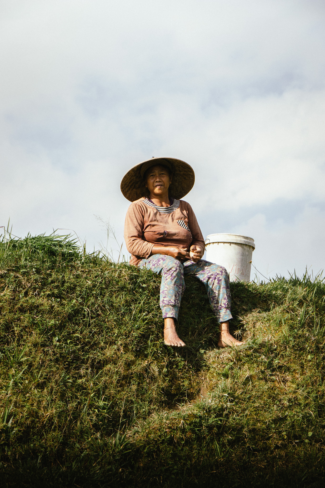 Professional portrait